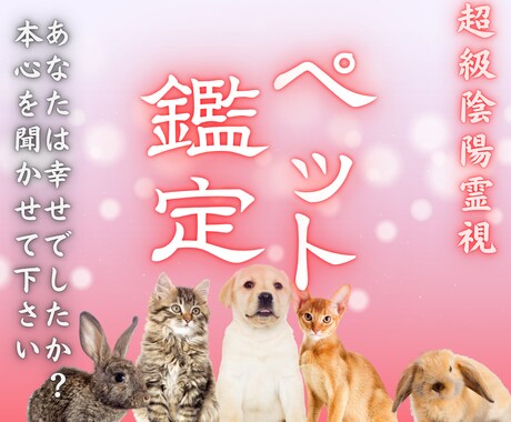 愛するペットの霊視鑑定｜丁寧にお伝えします 最愛のペットが抱えている想い・本音・ご縁・相性を視ます。 イメージ1