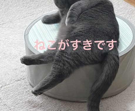悲しい、嬉しい、誰かに話したい時。ここで待ってます うつ病時代もあったので体験談も含めつつ相談相手になれれば。 イメージ2