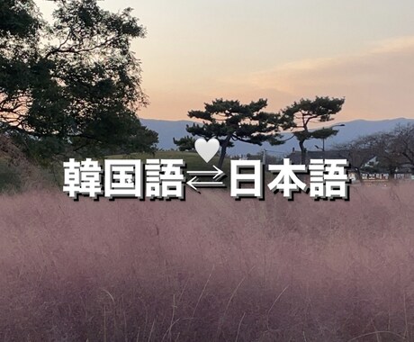 一律千円で日本語⇄韓国語の翻訳をします 韓国留学経験あり！TOPIK6級所持者！ イメージ1