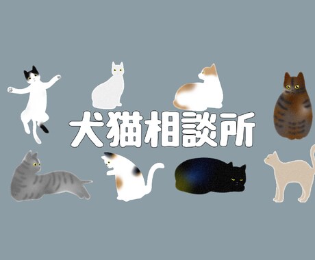 獣医師が犬猫の健康相談、悩み相談に乗ります 動物病院勤務の現役獣医師が相談に乗ります イメージ1