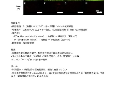 医学論文の翻訳・要約をします “読むべき文献”だけに集中を！要約で時間も労力も効率化 イメージ2