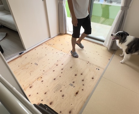 賃貸OK！愛犬の傷や汚れ、悩みをプロが解決します 愛犬の住まい相談！壊されない・汚れない空間をDIY提案 イメージ1