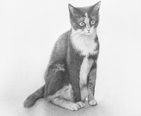 動物・人・静物など、鉛筆画承ります アイコン・ヘッダー、広告・宣伝、挿絵・表紙、Webサイトなど イメージ2