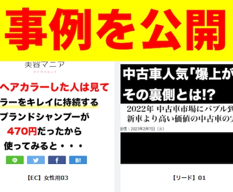 記事LP。アド10年実績。獲れる記事LP作成します 記事LPの実績公開。数字が合う記事を書きます イメージ2