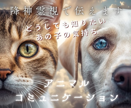 本音を聞いてみませんか？ペットの魂の声を霊視します 前世から来世まで、愛するあの子のメッセージを伝えます イメージ1