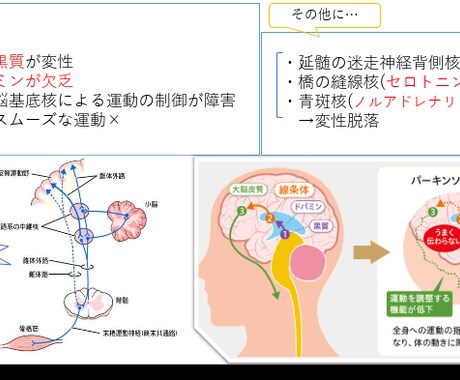 看護の学習サポートします 実習や勉強会の学習サポートさせていただきます！ イメージ1