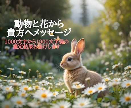 動物、花のオラクルからメッセージ届けます チャネリング霊視で1000文字から1900文字弱の鑑定お届け イメージ1