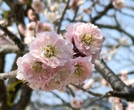 90分、小、中、高校生、家庭教師します 高校生は英語、小、中学生は全教科に対応します。 イメージ1