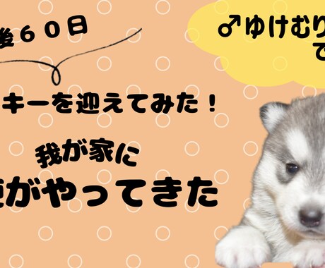 再生数アップするYouTubeサムネイル作成します クリック数、再生回数を伸ばすお手伝いをさせてください♪ イメージ2