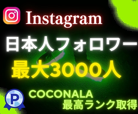 インスタ日本人フォロワーを増加します Instagram日本人フォロワー100人増加！ほぼ減少なし イメージ1