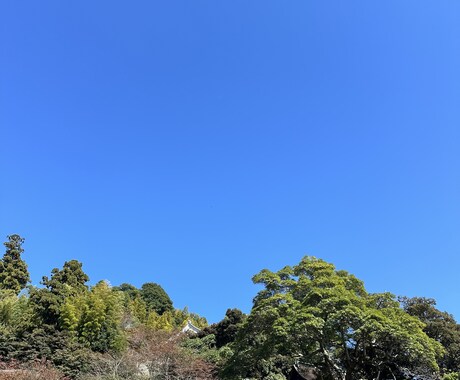 専用ですます お待ちしております(ᴗ͈ˬᴗ͈)(ᴗ͈ˬᴗ͈) イメージ1