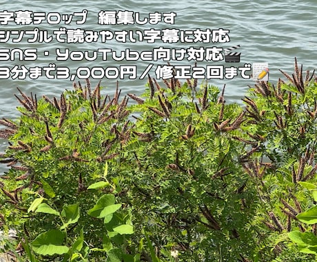 字幕のみ対応します。ご希望にあわせて編集します SNSやYouTube向け字幕、ていねいに編集します イメージ2