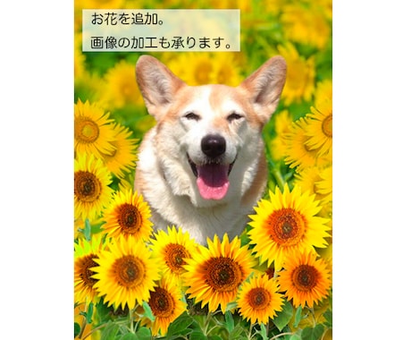 写真・イラストをクロスステッチ図案にします クロスステッチ図案にします【オリジナル図案制作】 イメージ2