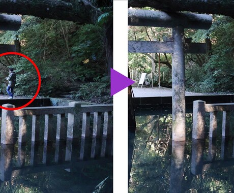 Photoshopで写真から不要な物を削除します フォトショップ使用 色々なファイル形式に対応 イメージ1
