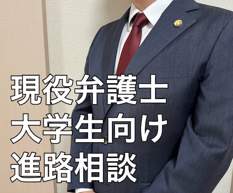 現役弁護士が法曹志望者の進路相談に乗ります 法曹に興味がある大学生の相談に乗ります！志望度は問いません！ イメージ1