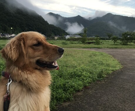 仕事の悩みを整理し次の一手を決めます 精神的に病んでしまう前に、お話し聞きますよ イメージ1