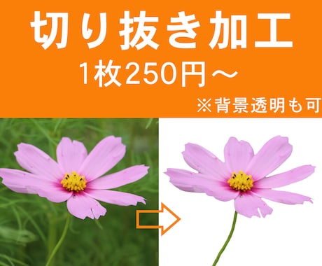画像切り抜きます 【最短当日作成】画像の切り抜き加工 イメージ1