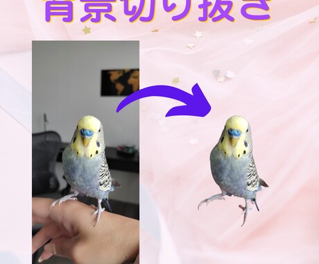 背景切り抜き 3枚で1000円！でご提供します 写真を一瞬で際立たせる！SNS・ビジネスに最適な一枚を。 イメージ2