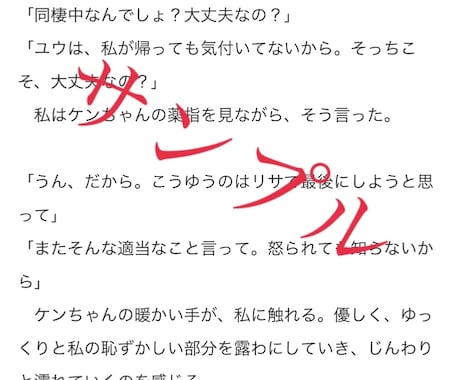 大切な恋愛経験や夢小説を気持ちを込めて書き上げます あなたの秘密の願望や妄想、体験などを小説にしませんか？ イメージ2