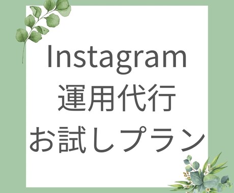 お試しプラン！インスタグラム運用代行します 運用代行したいけど・・・という方！まずはお試しでどうですか？ イメージ1