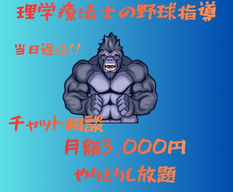 理学療法士が投球動作指導をします 動作分析し、怪我予防、パフォーマンスアップを目指します。 イメージ1