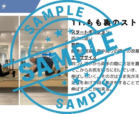 初心者向け：簡単なストレッチ動画を作成します ストレッチの解説PDF/動画付き！全力でサポートします！ イメージ2