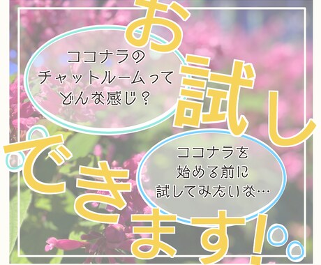 チャットルーム機能お試しできます 30分間集中チャットってどんな感じ？お試しトーク！ イメージ1