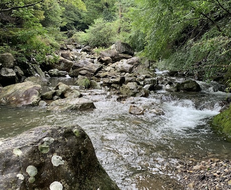 和歌山県のバス釣りポイント教えます 和歌山県の知りたいポイントお教えします。 イメージ1