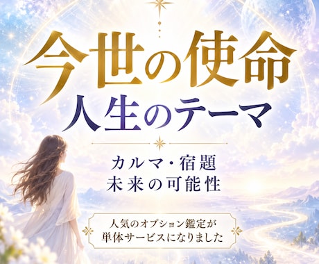 あなたの今世の　使命と人生テーマを詳しく鑑定します カルマや宿題から未来の可能性まで詳しく読み解きます イメージ1