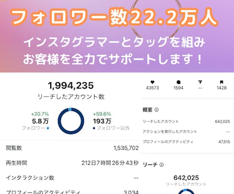 プロが個別でインスタグラムをコンサルします フォロワー22万人インスタグラマーとプロマーケターのタッグ！ イメージ2