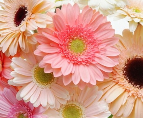 占いを通してお悩みにアドバイスいたします 30分でどれだけ質問しても大丈夫 イメージ1