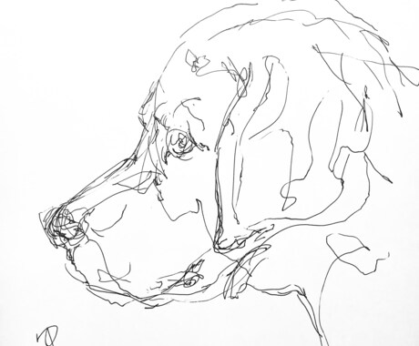 大切なペットの似顔絵をペン画で描きます 写真をもとにペン画を制作、原画と画像を納品します。 イメージ2