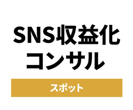 SNS収益化のための伴走型スポットコンサルします 【アカウント設計ご購入者様限定】 イメージ1
