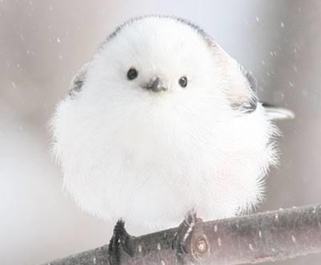 お悩み、相談、なんでも聞きます お話ししたいこと全部受け止めます イメージ1