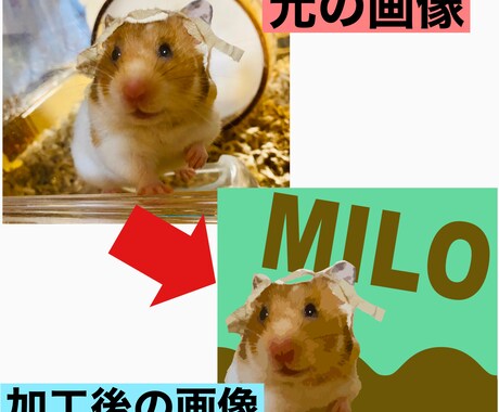 あなたの大切な家族の写真をイラスト化します 待ち受け画像、Tシャツなどのグッズ製作用にも！！ イメージ1
