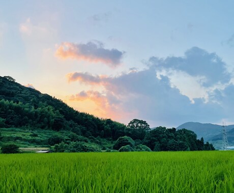 なんでも気軽に聞いてね！5分でもうけつけます 悩み事や愚痴もなんでも聞きます！ イメージ1