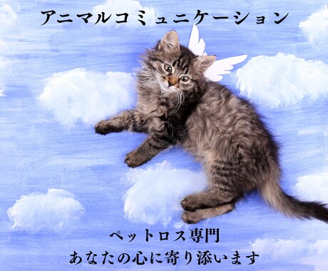 ペットロスの心を癒します アニマルコミュニケーションでペットから「ありがとう」が届く イメージ1