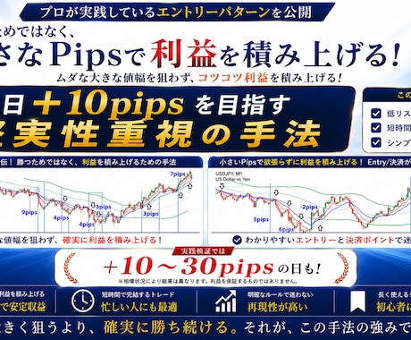 FXプロの手法+10pips目標★スマホ解説します 負け組だった私が激変！専業になれたプロの堅実な期待値トレード イメージ1