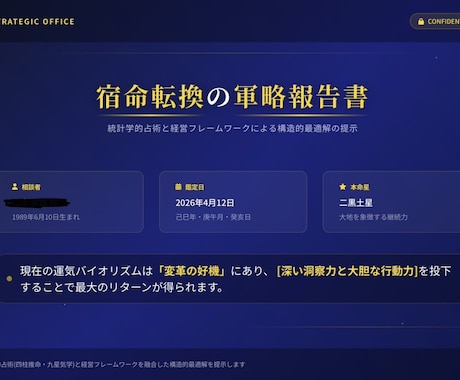 統計学占術による戦略的報告書を授与します 自責から解放され宿命を転換。経営判断を支える論理的分析 イメージ2