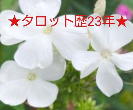 運命の地図☆タロット鑑定致します タロット鑑定歴23年・約6万人の方を鑑定☆日頃は九州で鑑定☆ イメージ1