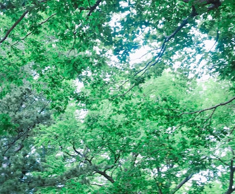 心の不安、楽にします 不安悲しみ苦しみ、気持ちを受け止めます。 イメージ1