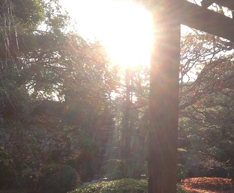 同業の方へ。 鑑定させて頂きます お互い得意分野で鑑定をしませんか？試したい占術もOKです。 イメージ1