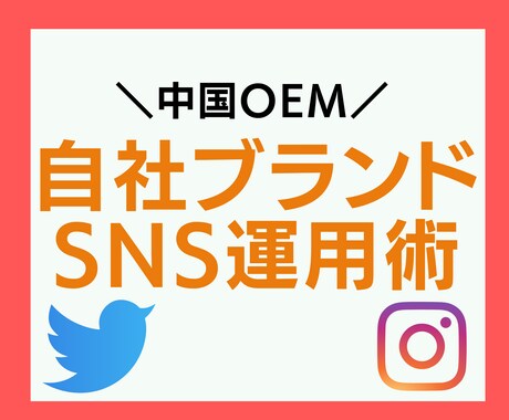 0→1 フォロワーを増やすSNS運用術を教えます amazon OEM事業者、ECブランドオーナー向け イメージ1