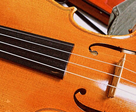 バイオリンを初めて弾く方になんでも教えます 楽しくバイオリンを弾きたい方に イメージ2