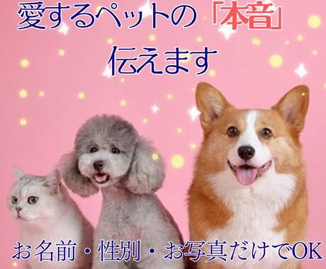 今いる子やお空の子の想い、心の声をお届けします ​「幸せ？」困った行動の理由は？あの子の本音を届けます。 イメージ1