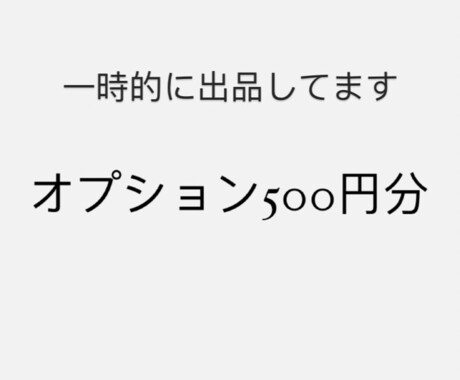一時的に出品してます オプション500円分ーーーーーーーーー イメージ1
