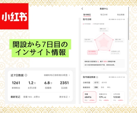 SNSのプロがRED（小紅書）をサポートします 大手海外マーケティング会社勤務・REDインフルエンサーMG イメージ2
