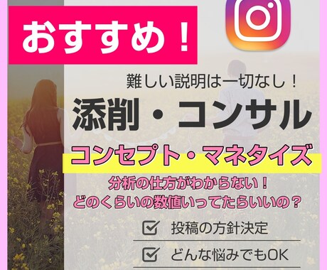 最安！インスタ集客の添削、方針や悩み相談のります SNSフォロワー数1万人越えのプロがインスタ集客をサポート イメージ1