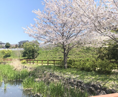 復縁で一番効果的な方法が研究されたので語ります 科学的根拠に基づいてアドバイスさせて頂きます！ イメージ1