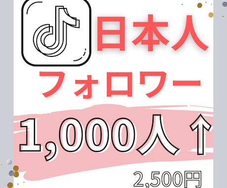 TikTok日本人フォロワー1,000人増やします 自動集客ツール体験版orコンテンツ販売攻略の書のおまけ付 イメージ1
